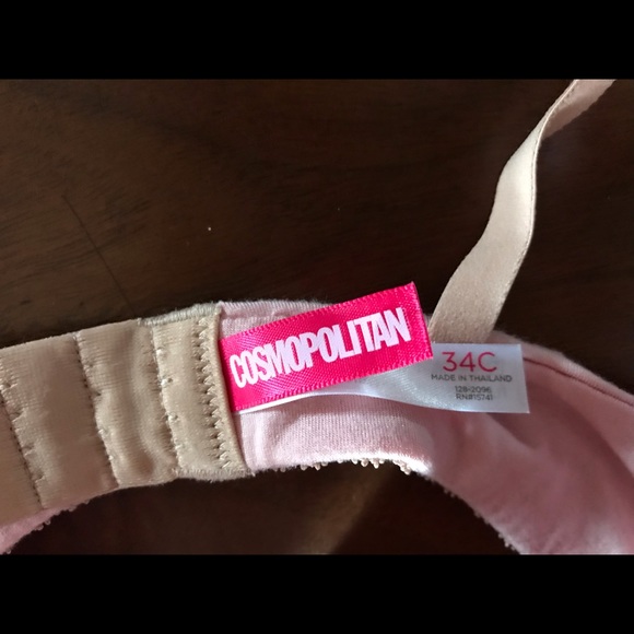 NWT Bra size 34C pink/brown Cosmopolitan Padded - Picture 3 of 3